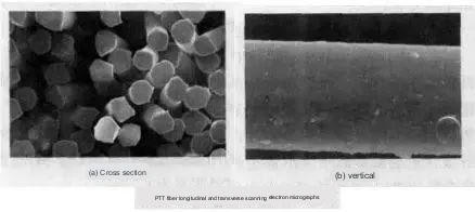 Steel metal cross section and vertical electron microscope images showcasing material structure.