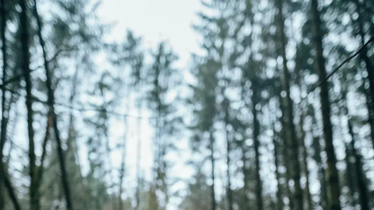 Vibrant outdoor forest scene with tall trees and sunlight filtering through leaves, ideal for showcasing rugged workwear uniforms in natural environments.