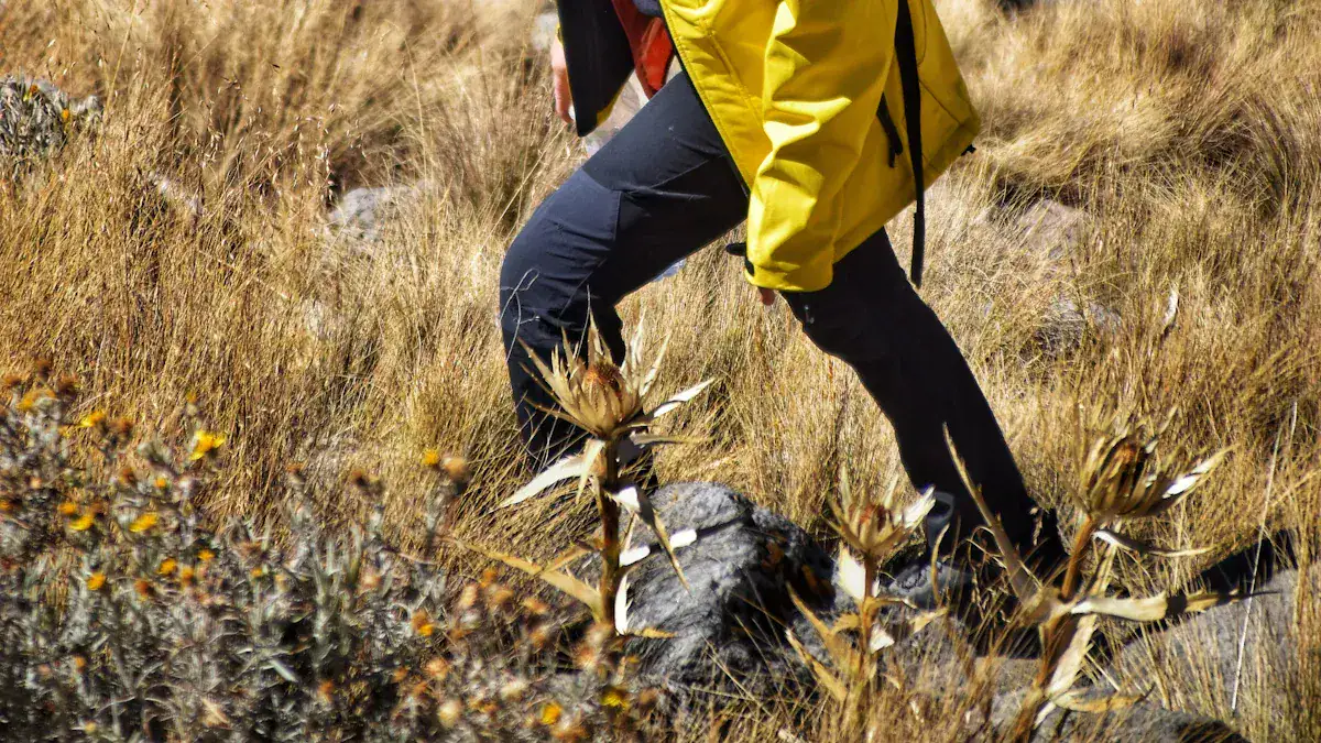 Flexibility in Softshell Jackets