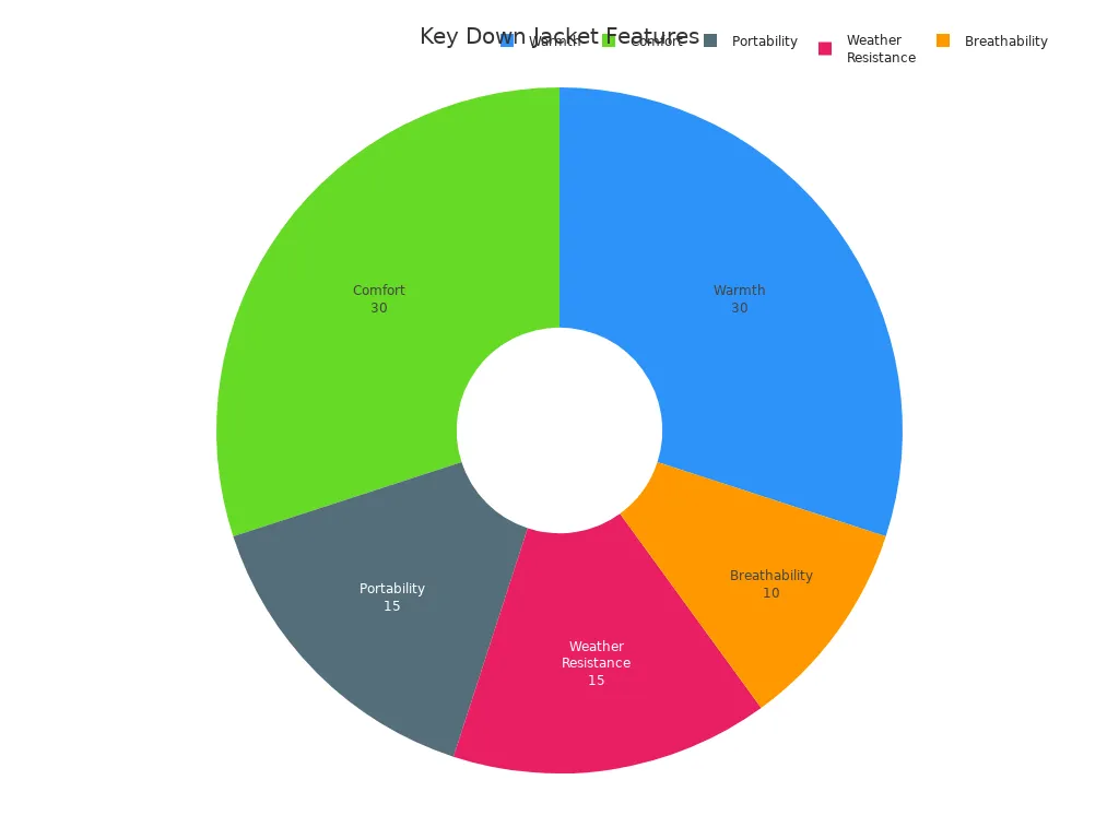 Pie chart showing importance of features for down jackets