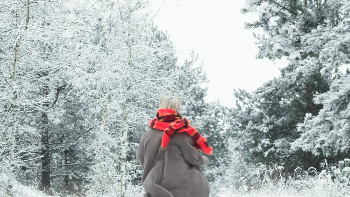 Warm winter coat and red plaid scarf worn by a person walking through snow-covered trees in a winter landscape.